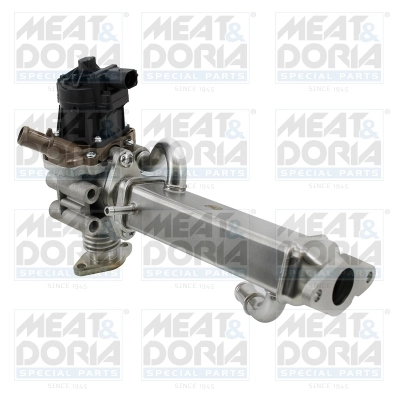 EGR Module